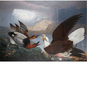 Death Of A Warrior: White Headed Eagle, Canvas Back Duck And Young (the Death Of A Tyrant)