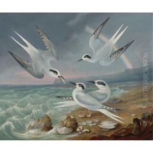 Havell Terns At The Shore by Robert Havell Jr.