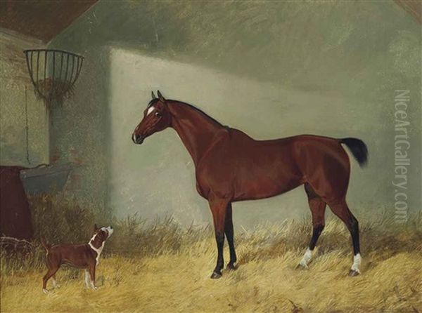 A Stable Friendship - view 1