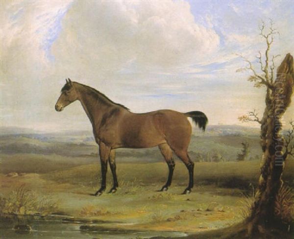 A Bay Horse In A Landscape - view 1
