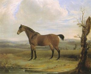 A Bay Horse In A Landscape