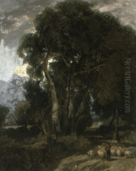 Shepherd With His Flock On A Path In A Wooded Landscape - view 1