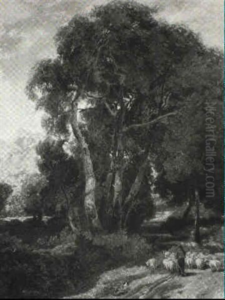 Shepherd With His Flock And Sheepdog On A Path - view 1