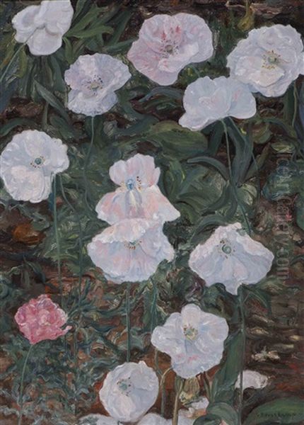 Poppies - view 1
