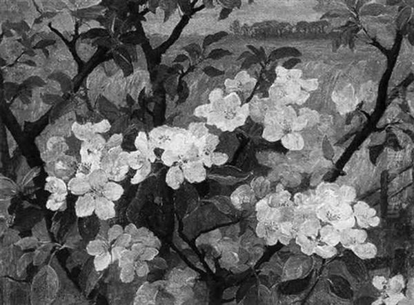 Appelbloesem - view 1