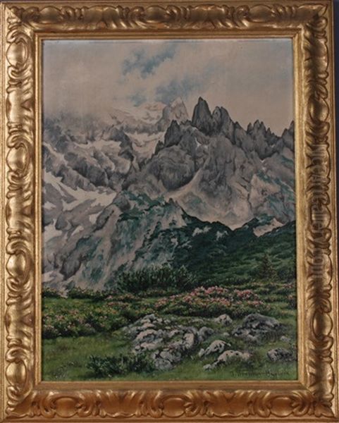 Bluhende Almwiese Und Gletschergebiet - view 1