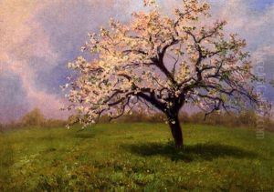 Bluhender Apfelbaum Auf Besonnter Wiese by Jan Trentan Havlicek