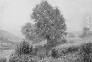 Im Sommer Am Krottenbach by Jan Trentan Havlicek