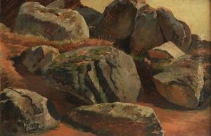 Study Of Stones by Bedrich Havranek