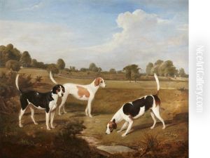 Three English Foxhounds In A Landscape by Henry A. Hawkins