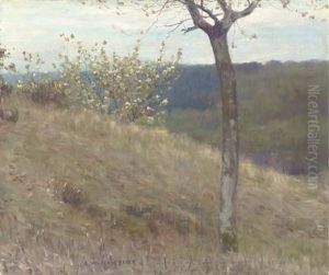 A Landscape With Blossom