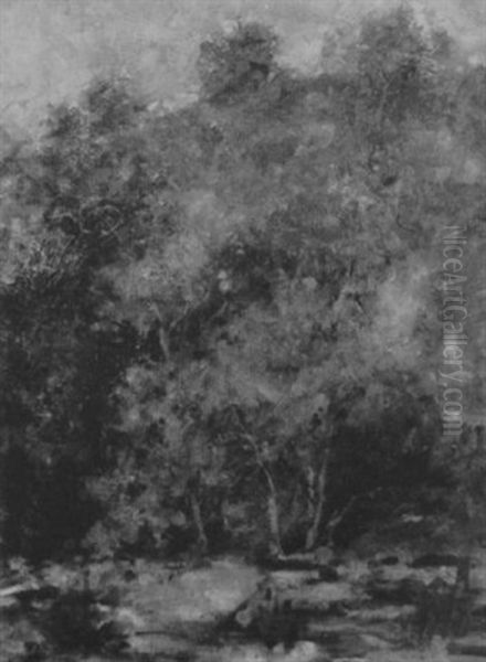Deep Woods In Spring Greens - view 1