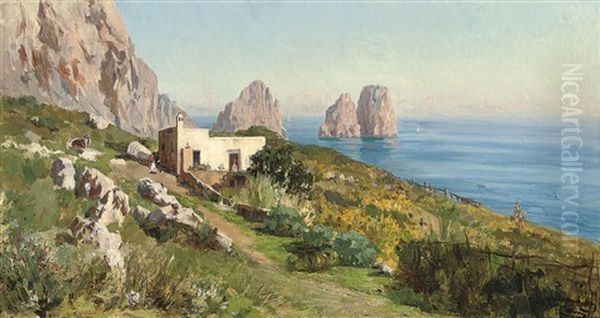 A Villa Before I Faraglioni, Capri - view 1