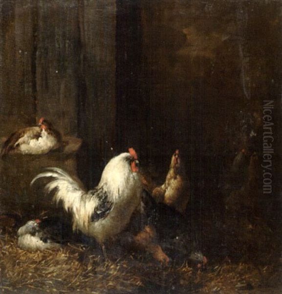Coqs Et Poules - view 1