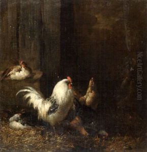 Coqs Et Poules Coqs Et Poules