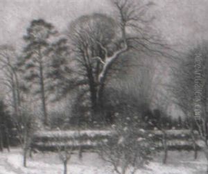 Winter In The Valley Of The Tone, Somerset Winter In The Valley Of The Tone, Somerset