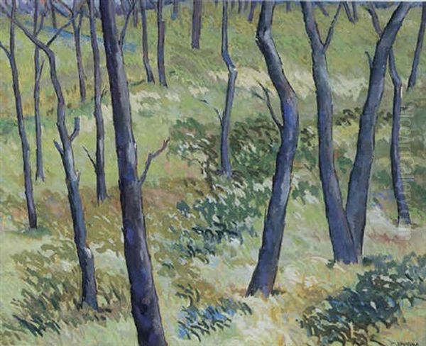 Landscape - view 1
