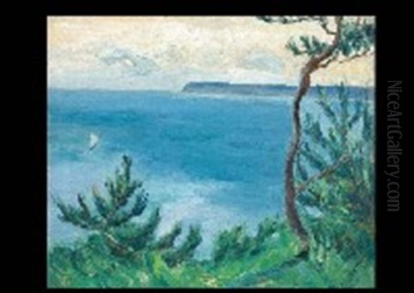Summer Ocean - view 1