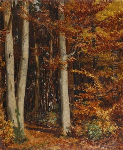 Herbstliche Laubwaldlandschaft - view 1