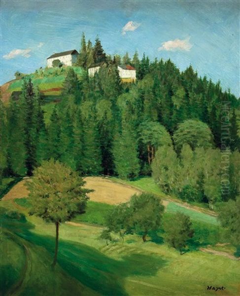 Alpenvorland - view 1