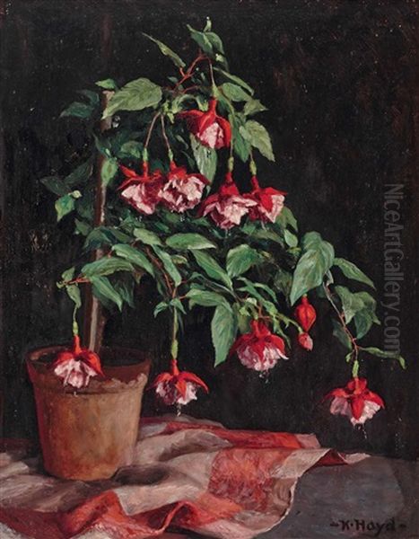 Fuchsien - view 1