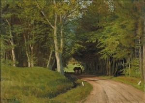Waldweg (haselgraben) Waldweg (haselgraben)