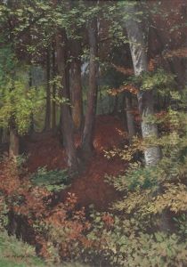 Waldinneres Waldinneres