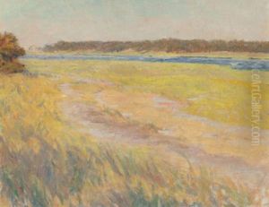 Spring Afternoon Landscape