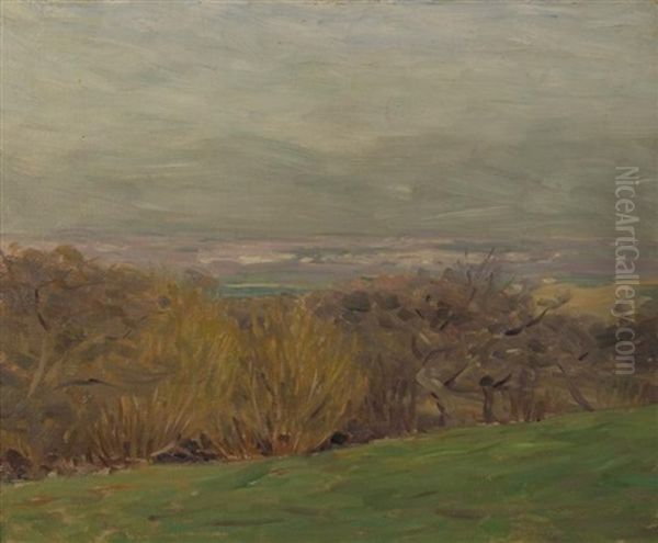 Landscape - view 1