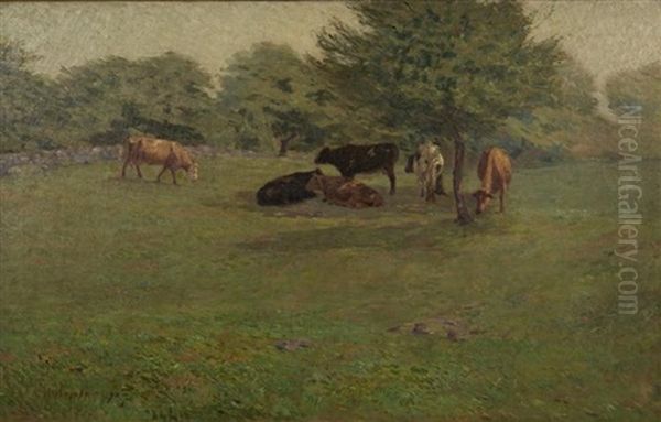 Cows At Pasture - view 1