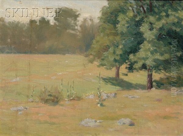Summer Pasture - view 1