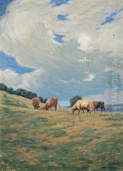 Spring Meadow - view 1
