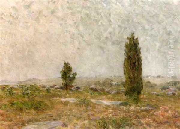 Summer Landscape - view 1