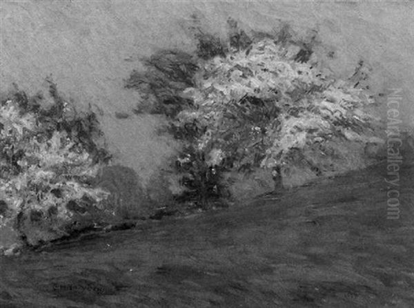 Spring Landscape - view 1