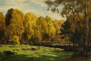 Schafe Auf Der Weide Vor Herbstlichem Birkenwald