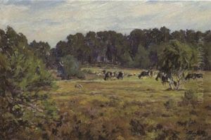 Kuhe Auf Der Weide