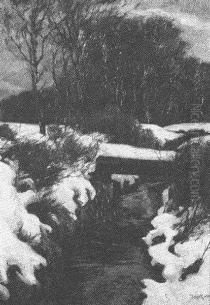 Bachlauf Im Winter - view 1