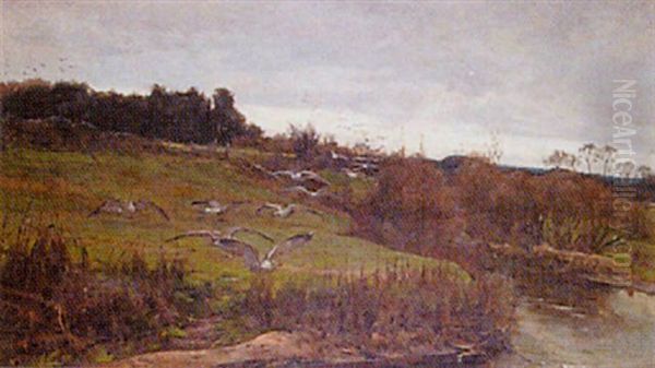 Extensive Country Landscape With Seagulls - view 1