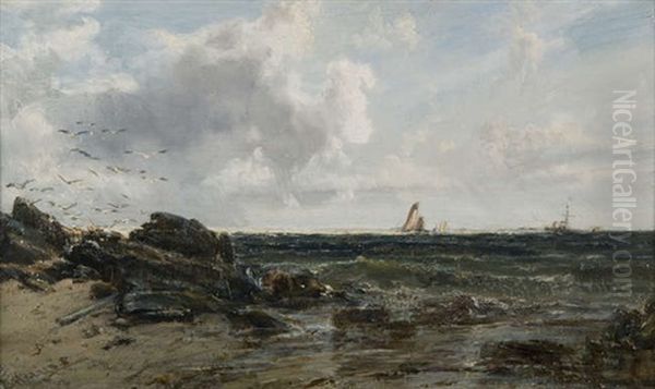 Cullercoats From Rocks Off Tynemouth - view 1