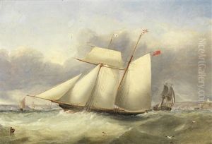 A Topsail Racing Schooner Of The Royal St. George Yacht Club Tacking Across The Bay