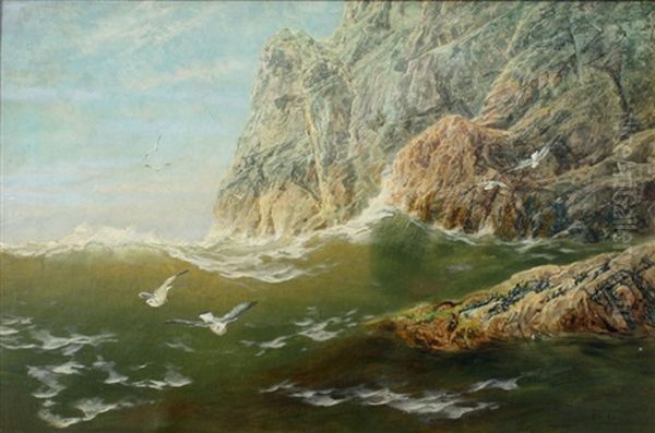 Under The Cliffs, Bardsey Sound - view 1