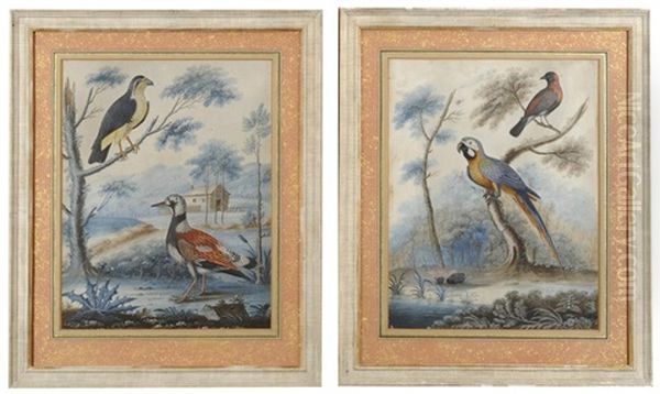Exotic And Indigenous Birds Within A Landscape (pair) - view 1