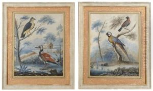 Exotic And Indigenous Birds Within A Landscape (pair) by William Hayes