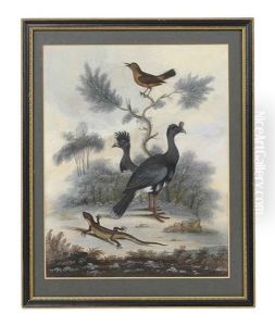 Untitled (bird And Lizard) by William Hayes
