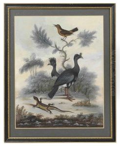 Lizard And A Songbird In A Landscape
