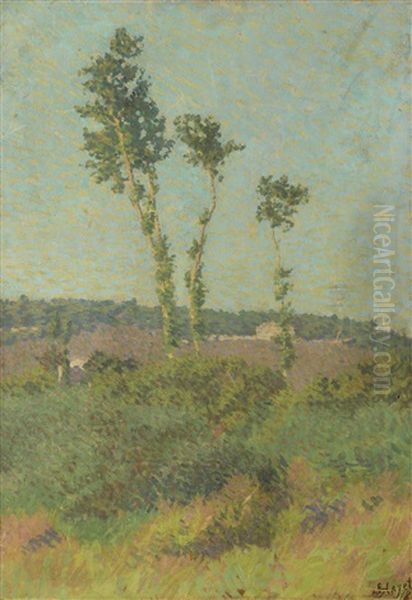Paysage Aux Trois Arbres - view 1