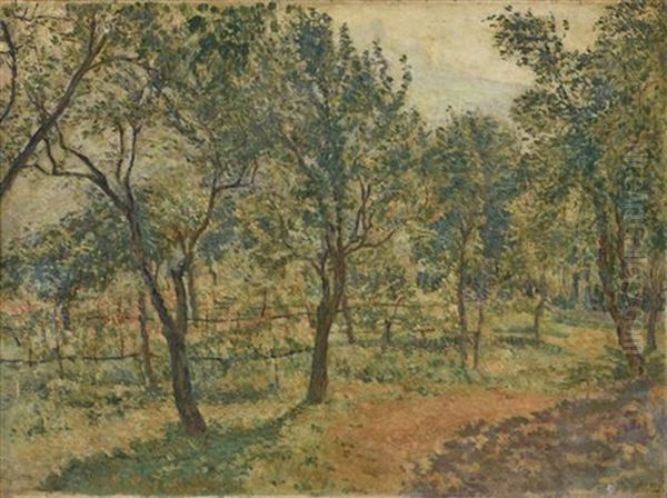 Garden In Spring - view 1