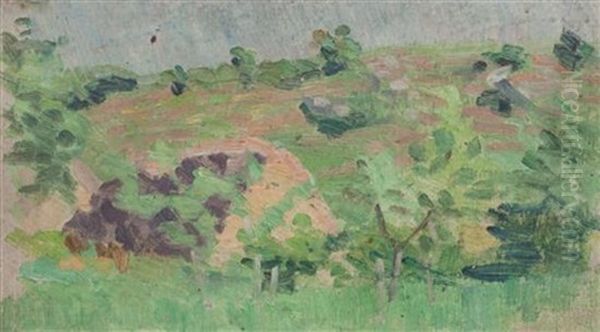 House On The Hillside - view 1