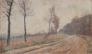Paysage Sur La Route