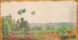Paysage De Campagne